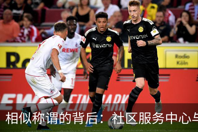 相似称谓的背后：社区服务中心与党群服务中心的区别解析